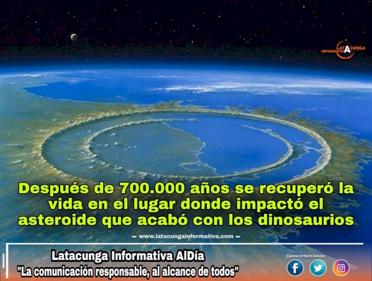  Después de 700.000 años se recuperó la vida en el lugar donde impactó el asteroide que acabó con los dinosaurios