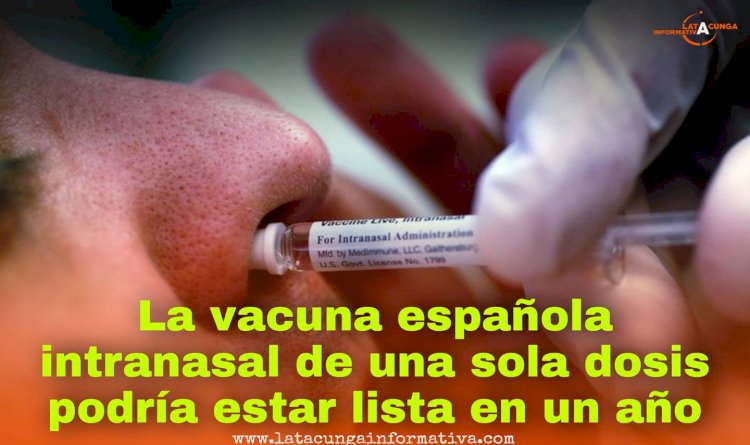 La vacuna española intranasal de una sola dosis podría estar lista en un año