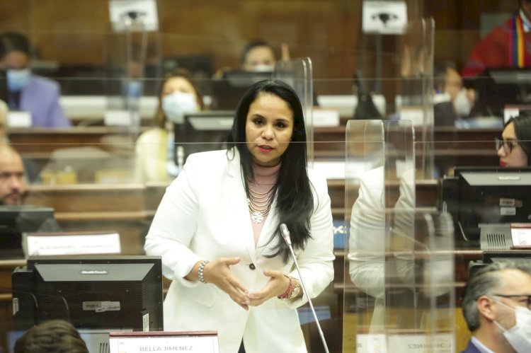 Pleno de la Asamblea destituye a la asambleísta Bella Jiménez