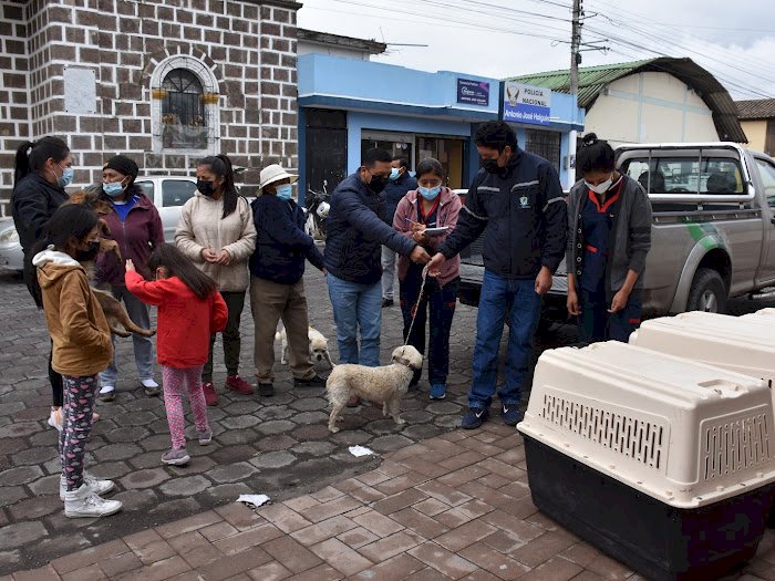 GAD Salcedo inicia jornada de esterilización gratuita enfocada en perras mestizas