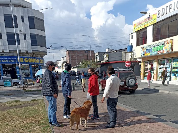 Municipio de Latacunga rescaga a seis perritos de la calle en el sector de la Plazoleta de El Salto