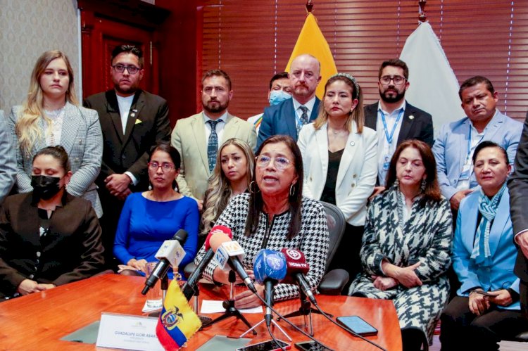Guadalupe Llori: “Pretenden tomarse por asalto la Asamblea Nacional y atentar contra la democracia”
