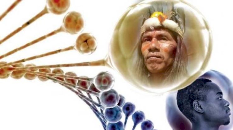 Todos tenemos genes indígenas, caucásicos y afros en distinta proporción