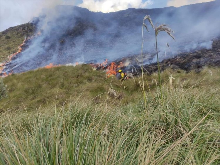 El ECU 911 coordinó atención por incendio forestal en Pujilí