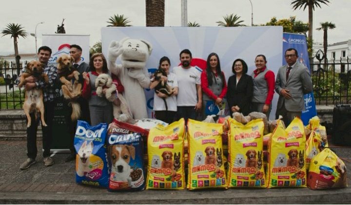 Cooperativa CACPECO promueve los valores de respeto a la vida y la responsabilidad hacia las mascotas 