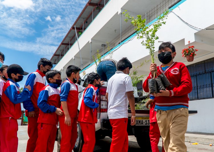 Municipio inicia entrega de plantas a instituciones educativas que son parte del proyecto Latacunga Siembra Vida