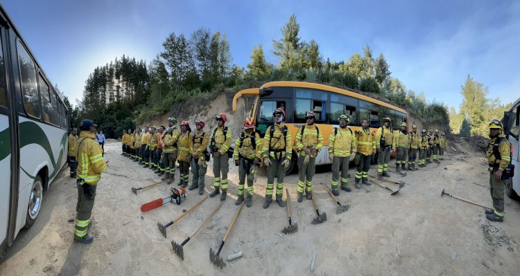 Bomberos ecuatorianos realizan labores en zonas afectadas por los incendios forestales en Chile 
