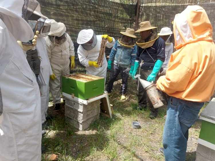 MAG realiza capacitación para fortalecer conocimientos en apicultura