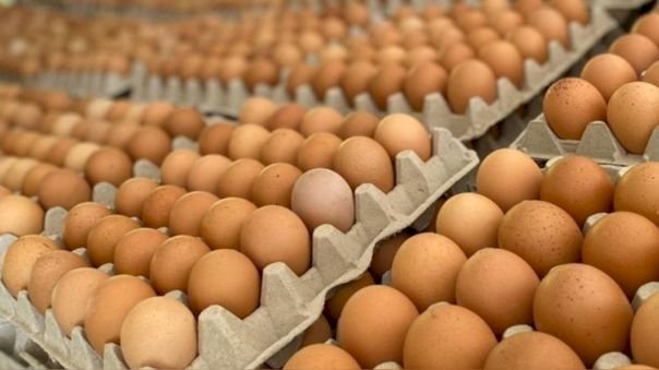 Se incrementó el costo de la cubeta de huevos en todo el país 