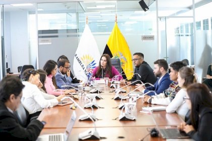 Comisión de Relaciones Internacionales exhorta al Ejecutivo ampliar plazos para regularización de migrantes en territorio ecuatoriano 