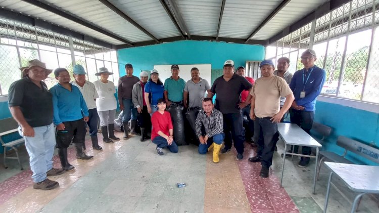 MAG entrega ensilaje y asistencia técnica a productores afectados por la lluvia en Cotopaxi 