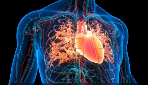 Se logra el primer trasplante de corazón en Italia, después de 20 minutos de haber dejado de latir
