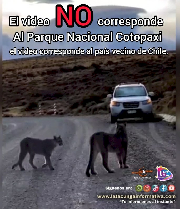 Video de pumas no fue grabado en el Parque Nacional Cotopaxi 