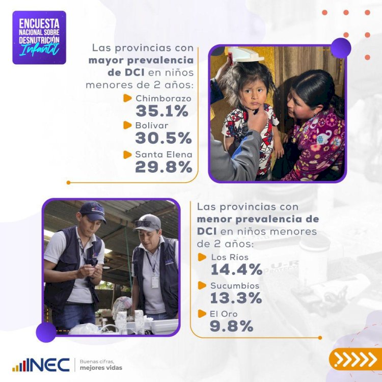 INEC entregó resultados de la encuesta nacional sobre la desnutrición infantil 