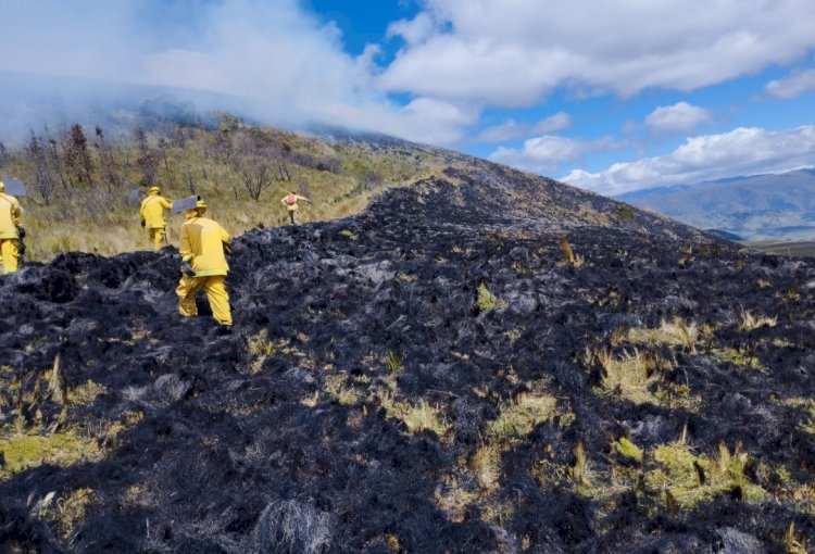 Más de 150 hectáreas reducidas a cenizas por incendios forestales en Salcedo
