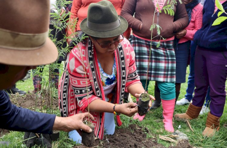 Prefecta de Cotopaxi impulsa la reforestación en Cotopaxi