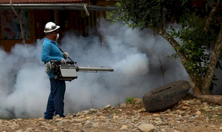 El Ministerio de Salud Pública confirma incremento de casos de dengue en Ecuador