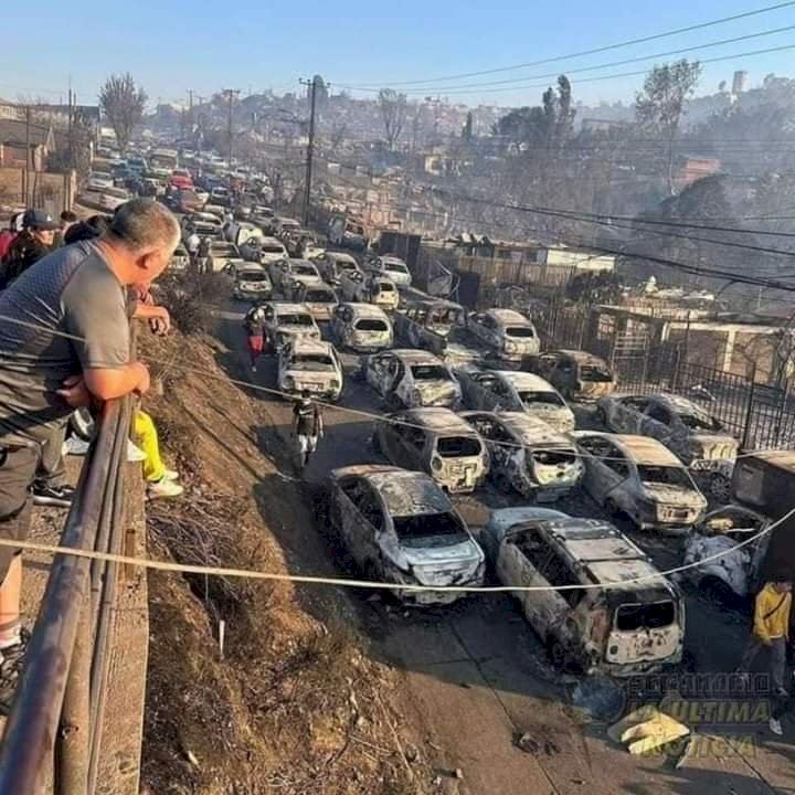 Ecuador expresa su solidaridad y apoyo a Chile por incendios que dejan más de 100 fallecidos