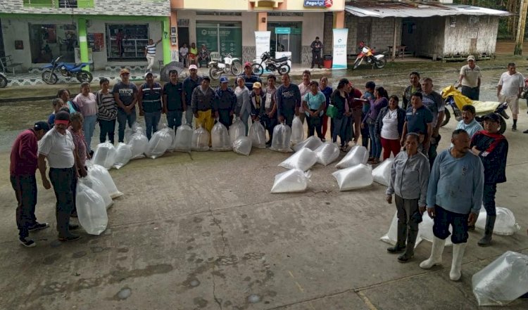 Productores de Guasaganda y Pucayacu reciben 50.400 alevines de tilapia