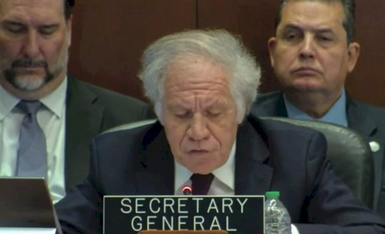 ¿Qué dijo Luis Almagro en la reunión de la OEA sobre la situación de Jorge Glas?