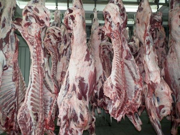  En Quito retuvieron toneladas de carne de contrabando en camal clandestino