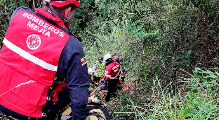 Vehículo cae al abismo en el kilómetro 23 de la vía Alóag  Santo Domingo conductor sobrevive